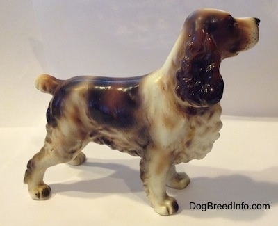 The right side of a figurine of a porcelain white with brown and black standing Welsh Springer Spaniel standing.