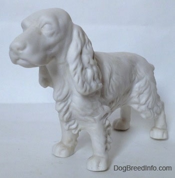 The front left side of a white bisque figurine of a Welsh Springer Spaniel standing. The figurine has long ears.