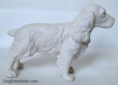 The right side of a figurine of an unpainted white bisque Welsh Springer Spaniel standing. The figurine has long legs.