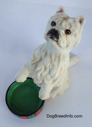 Top down view of a figurine of a West Highland White Terrier in a begging pose. The figurine has a black nose and black around it.