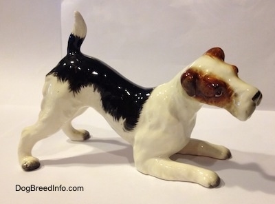 The right side of a white and black with brown porcelain Wire Fox Terrier figurine. The ears of the figurine are flopped over.
