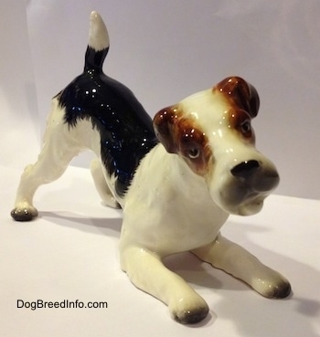 The front right side of a black and white with brown porcelain Wire Fox Terrier figurine that is in a play bow pose. The figurine is glossy.
