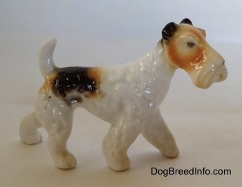 The right side of a white with black and tan bone china Wire Fox Terrier figurine. The figurine has small black flopped over ears.