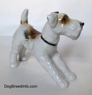 The front right side of a white with black and brown Wire Fox Terrier figurine. The figurine has flopped over ears. One ear is brown and the other is white.