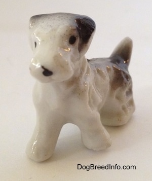 The front left side of a bone china Wire Fox Terrier figurine that has black ears.