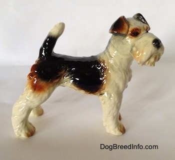 The right side of a black and white with brown porcelain Wire Fox Terrier figurine. The figurine is glossy.