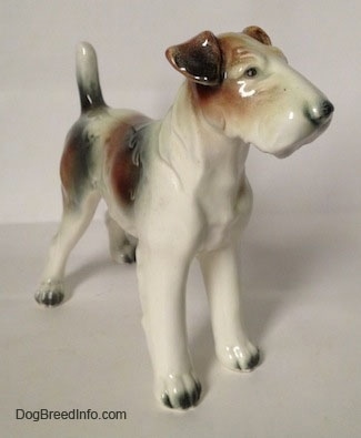 The front right side of a white with brown and black Wire Fox Terrier figurine. The figurine has flopped over ears.