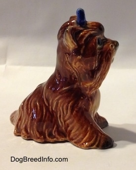 The right side of a brown with tan sitting Yorkshire Terrier figurine. The figurine has short legs.