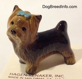 The front left side of a black with brown figurine of a Yorkshire Terrier with a light blue ribbon in its hair.
